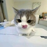 코밍밍님의 프로필 이미지