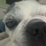 사이다님의 프로필 이미지