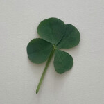 은유님의 프로필 이미지