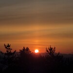 행복바라기님의 프로필 이미지