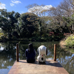 규르정님의 프로필 이미지