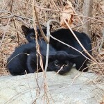 모든것님의 프로필 이미지