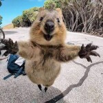 정세빈님의 프로필 이미지