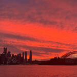 shin님의 프로필 이미지