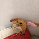 지수님의 프로필 이미지