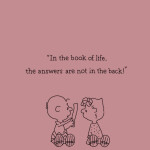 찌이님의 프로필 이미지